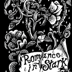 Nova-Glyn_Romance-In-Stark-Summers_Poetry-Book_Front-cover